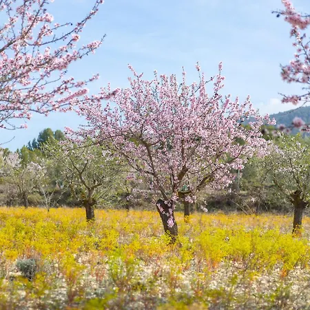 Rustic Escape By Fidalsa * Ibi